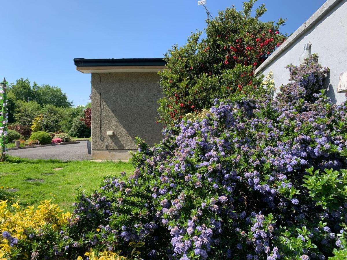 Roadside House Hotel Ballynahinch Exterior photo